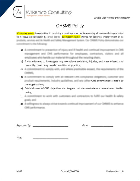 45001:2018 Occupational Health and Safety Documentation Template Package